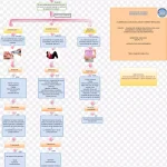 品牌网页设计流程 高清PNG