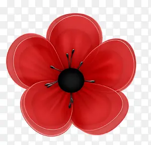 红色花朵