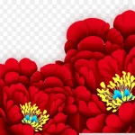 红色牡丹 PNG素材下载
