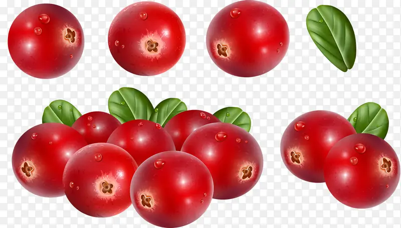 红色西红色红果