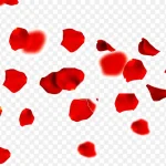 漂浮红色花瓣 透明背景PNG