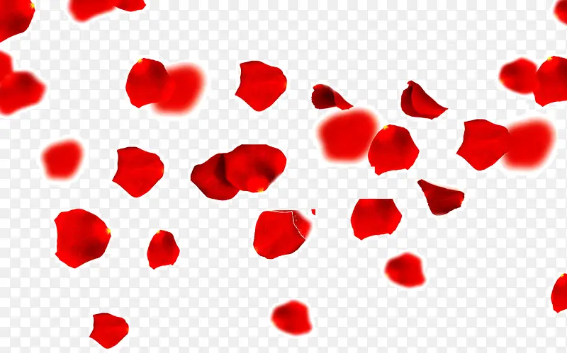 漂浮红色花瓣