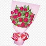 红色红色粉色 免费PNG素材