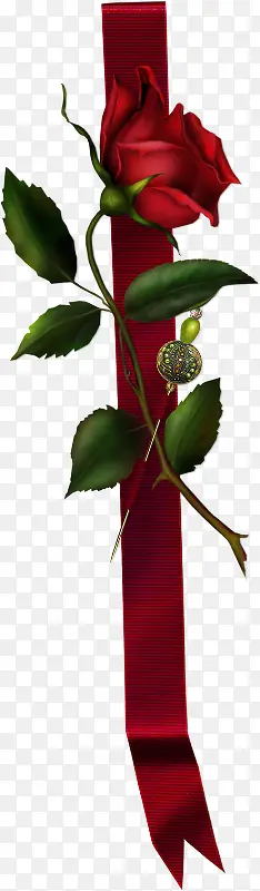 红色玫瑰和红色丝带