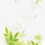 绿色花纹  环保 绿色 PNG素材下载