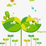 绿色生活 高清PNG