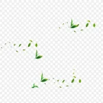 绿色叶子  茶叶  绿色树叶 高清PNG