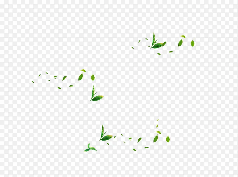 绿色叶子  茶叶  绿色树叶