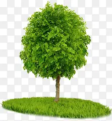 绿色卡通绿色树