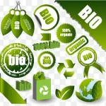 绿色标签设计矢量素材下载,绿色 透明背景PNG