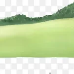 绿色草原 透明背景PNG