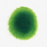 绿色深绿色墨点 透明背景PNG