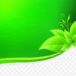 绿色背景 高清PNG