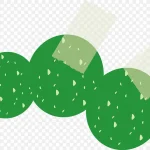 绿色圆 透明背景PNG