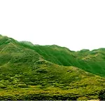 绿色山 透明背景PNG