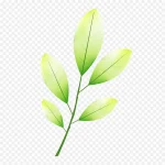 绿色卡通树叶 高清PNG