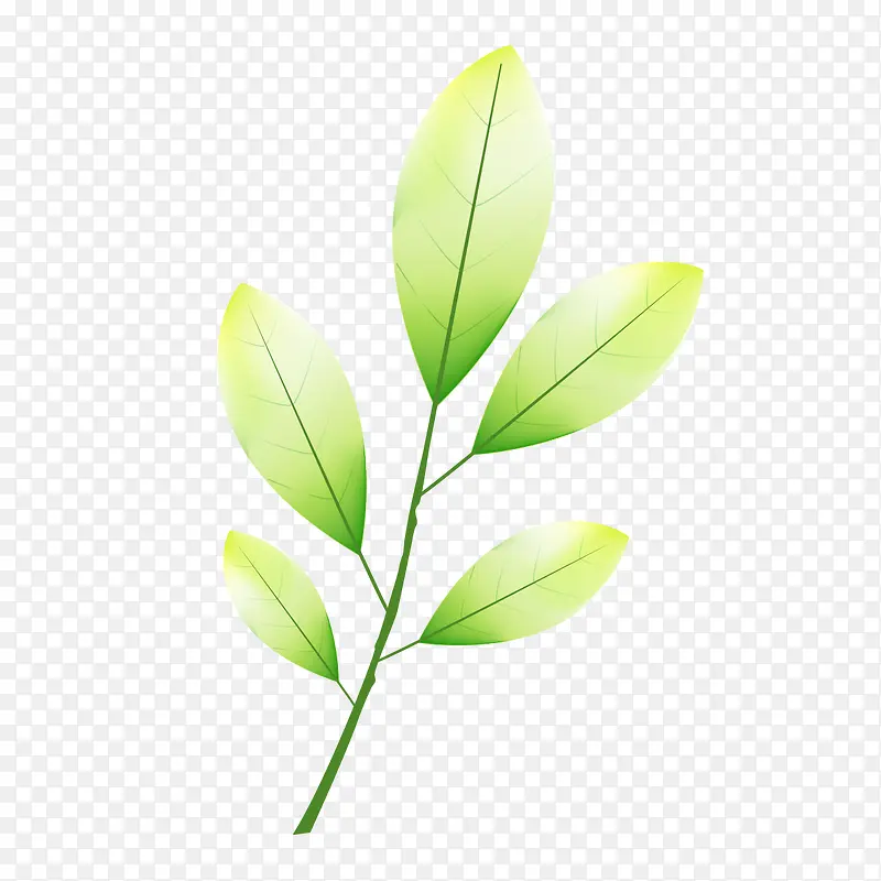 绿色卡通树叶