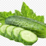 绿色黄瓜 免费PNG素材
