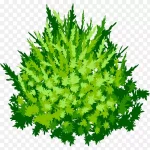 绿色花丛图片 PNG素材下载