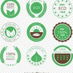 绿色图标 透明背景PNG