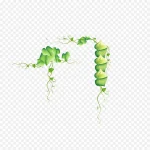 绿色花纹 免费PNG素材