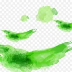 绿色花纹 高清PNG