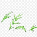 绘画绿色绿色海报 免费PNG素材