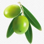 绿色水果绿色叶子 PNG素材下载