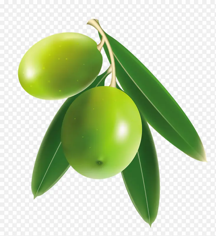 绿色水果绿色叶子