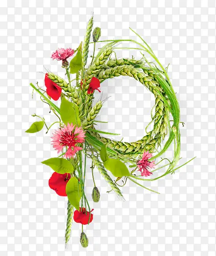 绿色叶子绿色谷穗