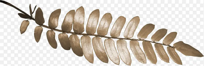 绿色树枝绿色叶子