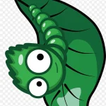 毛毛虫装饰绿色 高清PNG