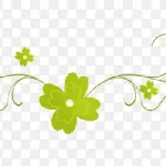 绿色叶子绿色枝叶 高清PNG