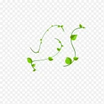 绿色藤蔓 高清PNG