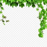 绿色叶子绿色藤蔓 PNG素材下载