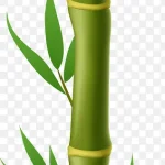 卡通绿色竹子 透明背景PNG