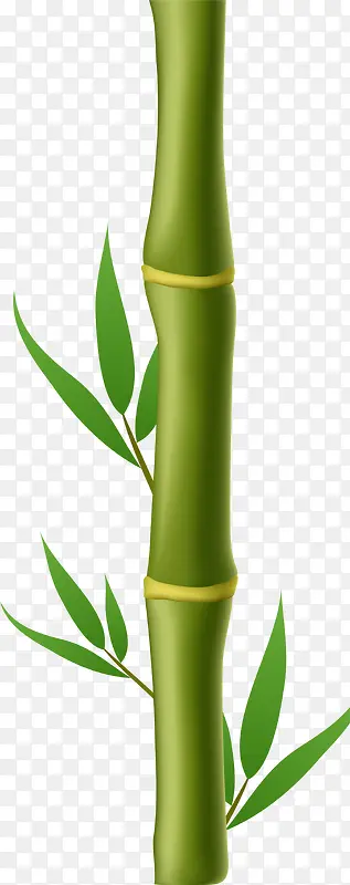 卡通绿色竹子