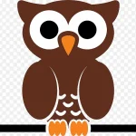 可爱猫头鹰 透明背景PNG