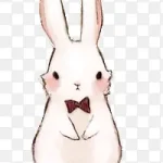可爱图片可爱元素 卡通可爱兔子 透明背景PNG