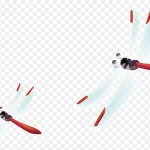 可爱蜻蜓漂亮背景素材 PNG素材下载