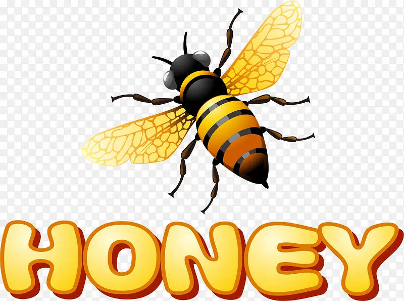 可爱蜜蜂