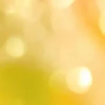 甜美可爱 高清PNG