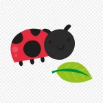 绿叶可爱的瓢虫免抠素材 免费PNG素材