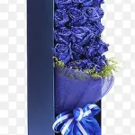 蓝色玫瑰花蓝色包装盒 免费PNG素材