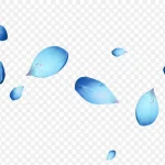 蓝色花瓣 PNG素材下载