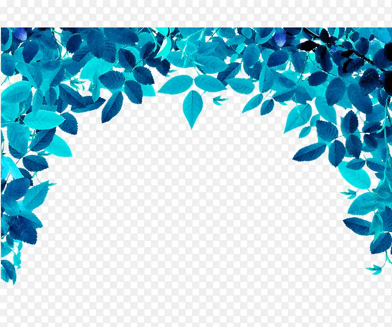蓝色树叶