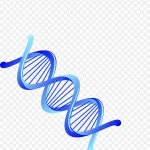 蓝色螺旋图案 高清PNG