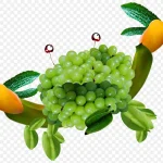 创意蔬菜水果螃蟹素材图片 免费PNG素材