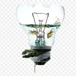 创意鱼缸灯泡 高清PNG