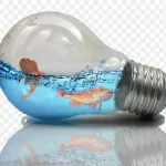 创意灯泡鱼缸 PNG素材下载